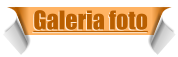 Galeria foto